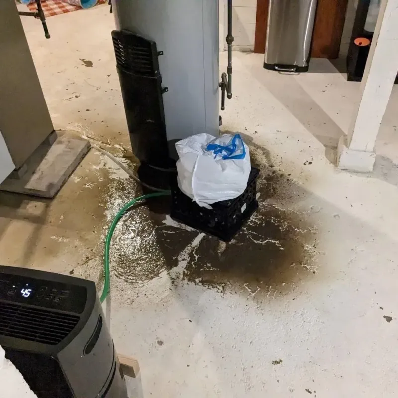 Sewage Backup Cleanup Service in Turnersville, NJ
